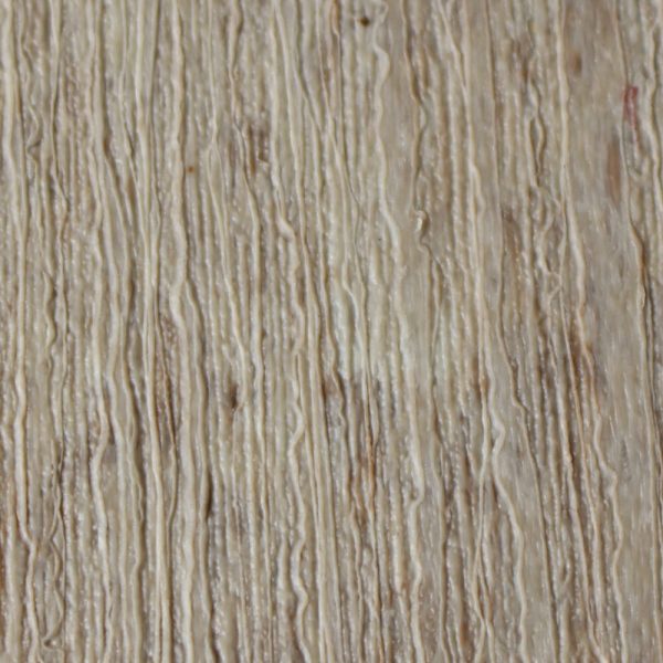 Wood Grain Birch